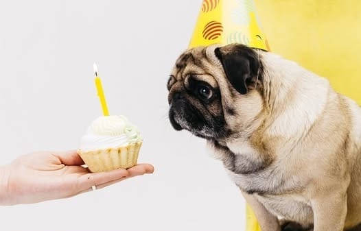 สูตรคำนวณอายุหมา